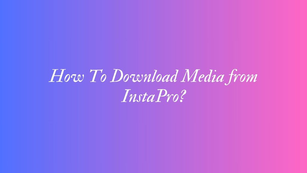 How To Download Media from InstaPro